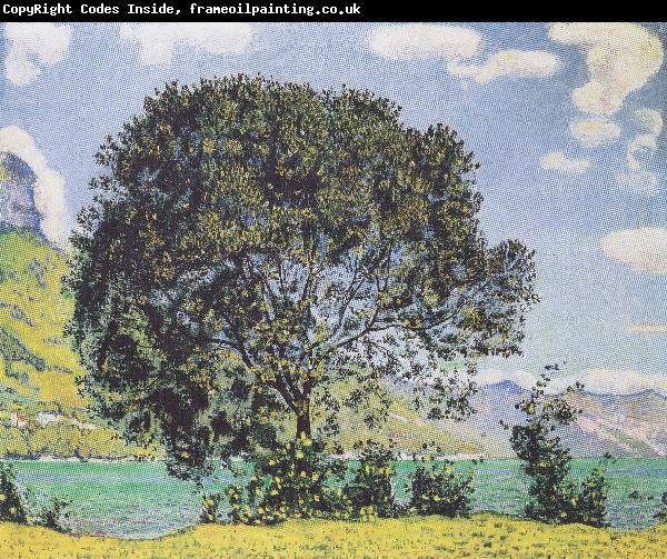 Ferdinand Hodler Baum am Brienzersee vom Bodeli aus